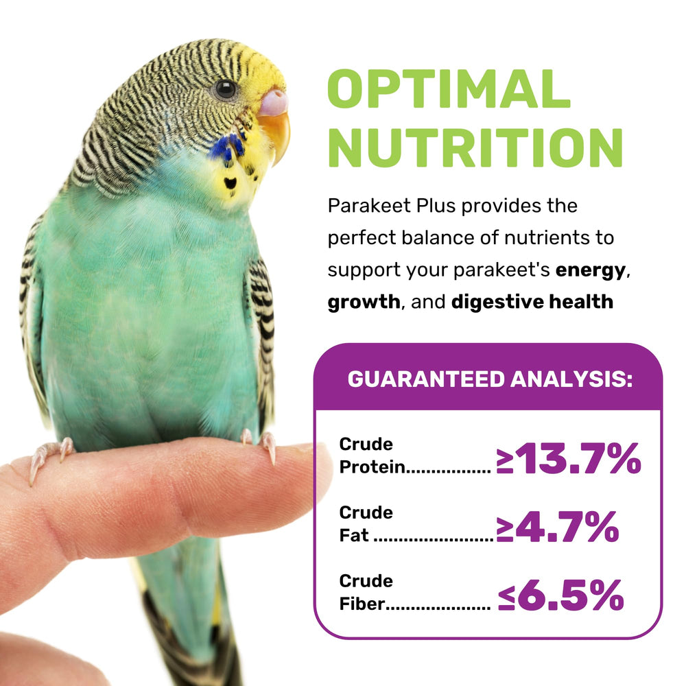 LEACH Parakeet Food Plus ingredient closeup showing millet and eggs for natural vitality.