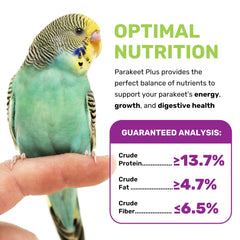 LEACH Parakeet Food Plus ingredient closeup showing millet and eggs for natural vitality.