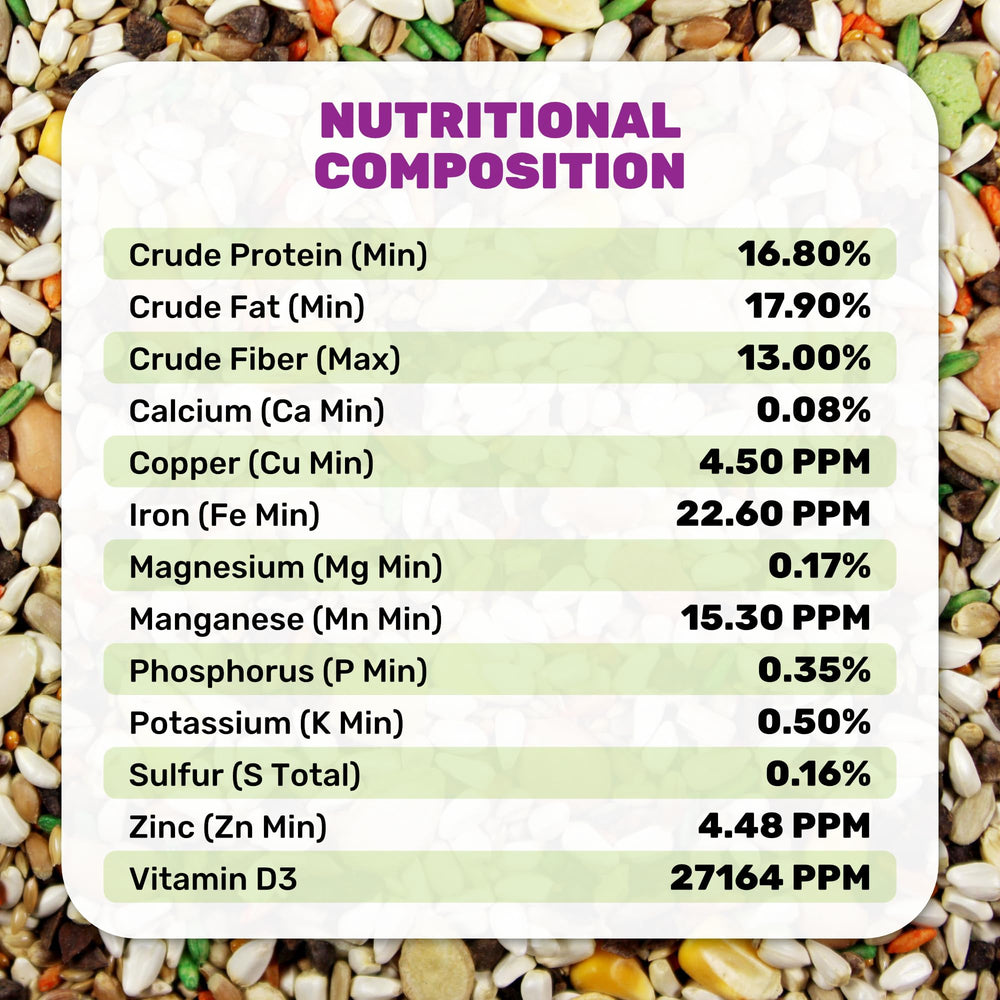 LEACH GRAIN & MILLING CO Large Hookbill Plus foraging variety drawing birds to meal.