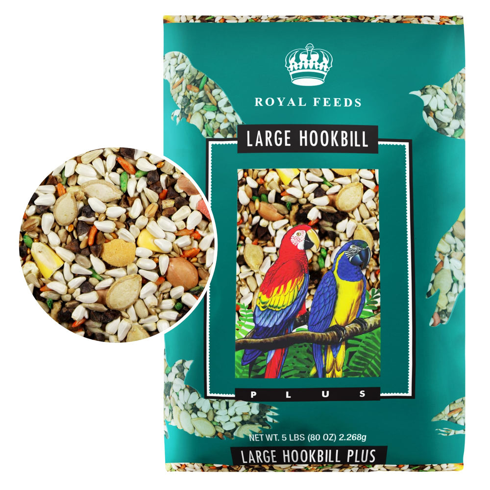 LEACH GRAIN & MILLING CO Large Hookbill Plus seed-mix in bowl for balanced nutrition.