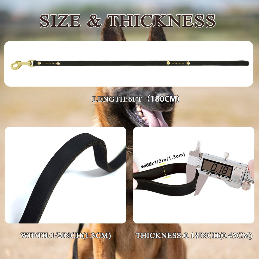 Leadfar heavy duty leash 360-clip rotation close-up preventing tangles during walks.