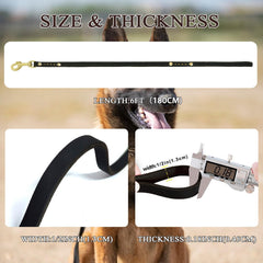 Leadfar heavy duty leash 360-clip rotation close-up preventing tangles during walks.
