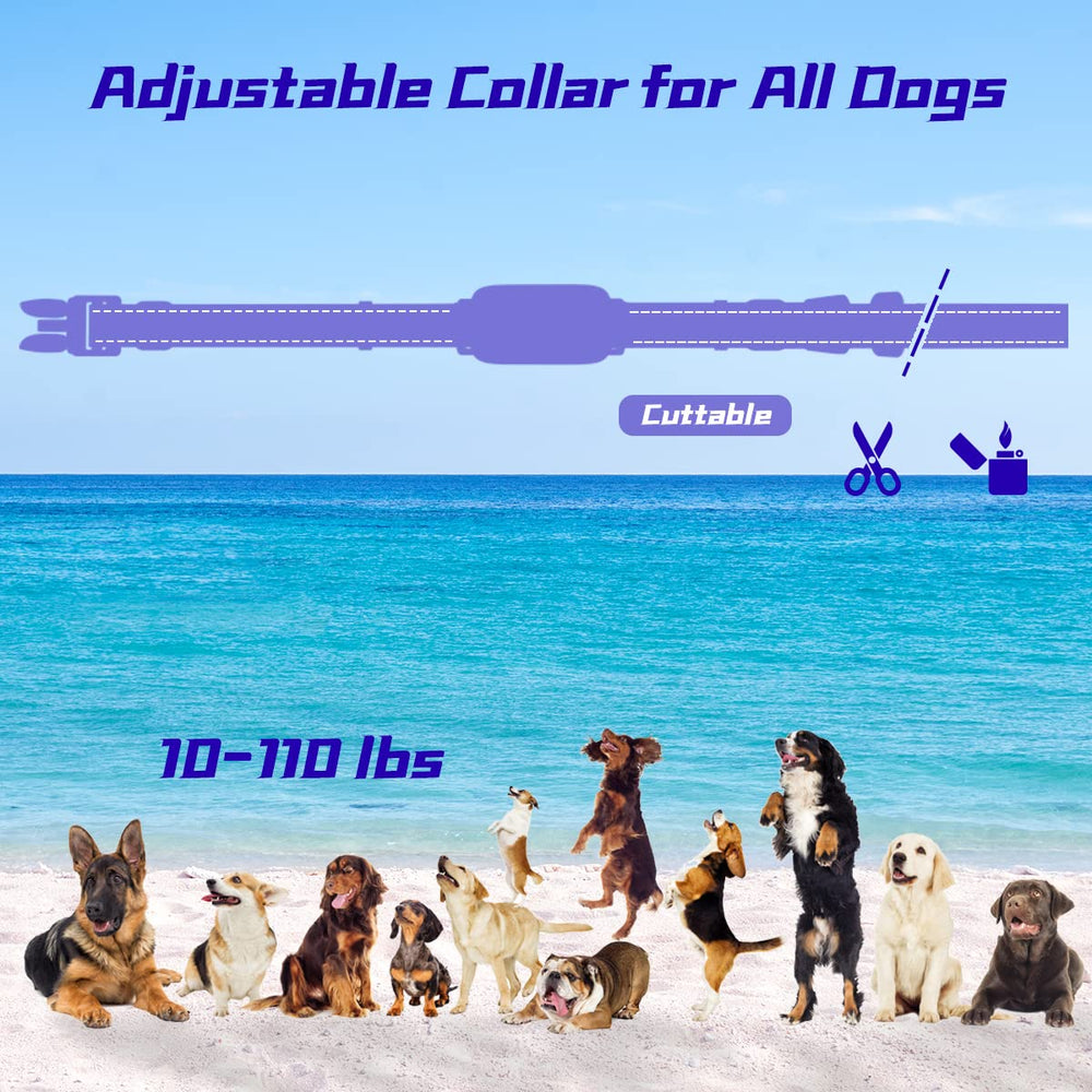 LeadGo USB fast-charging dog collar shows quick power-up and long battery life