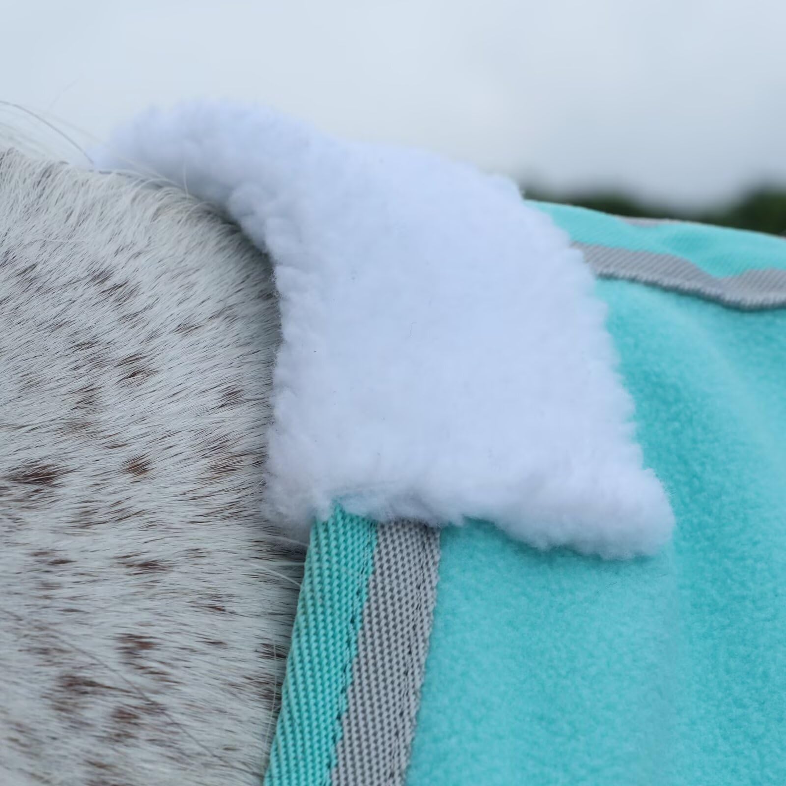 LEAFOREST moisture-wicking-technology keeps your horse dry during workouts.