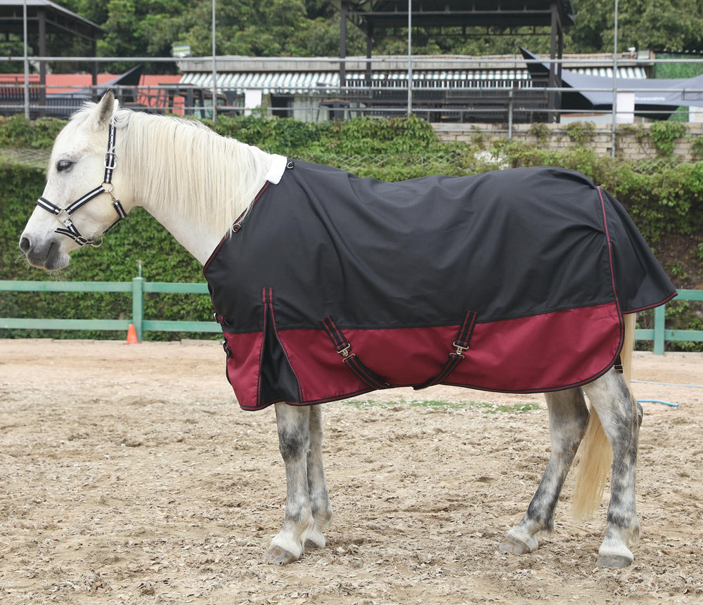 LEAFOREST turnout blanket in stable scene showing easy on/off
