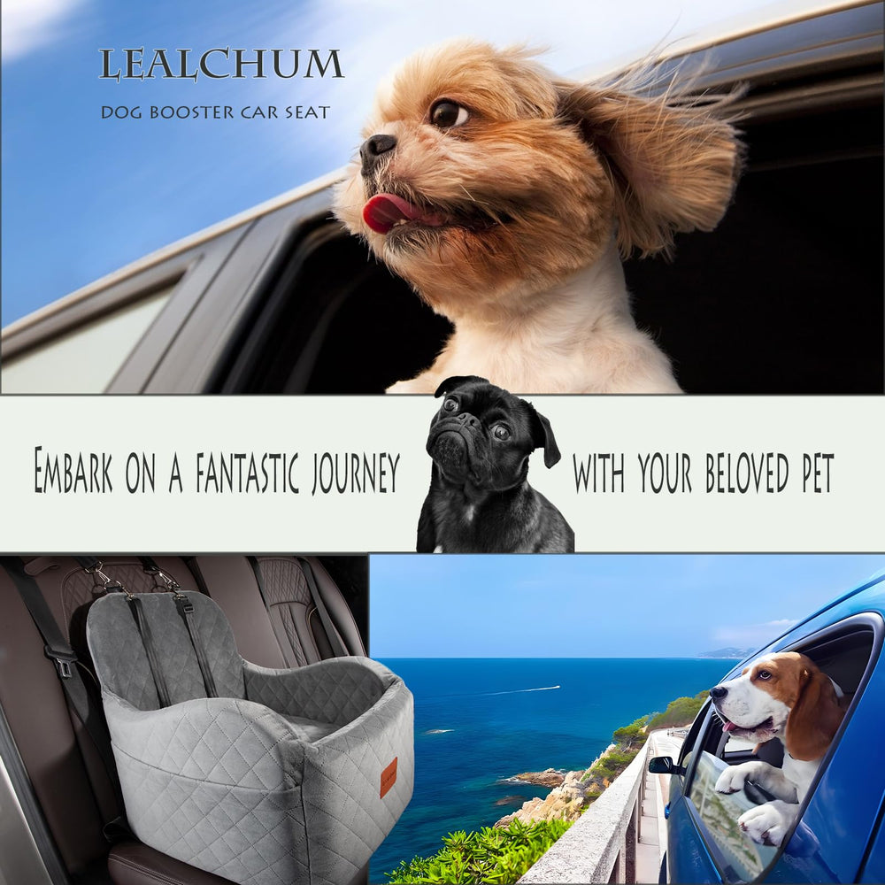 Lealchum car seat offers easy-install, quick setup for fast use.