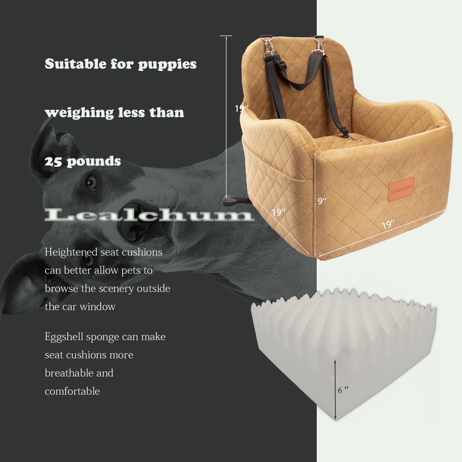 Lealchum memory-foam interior provides plush support for small to medium dogs.