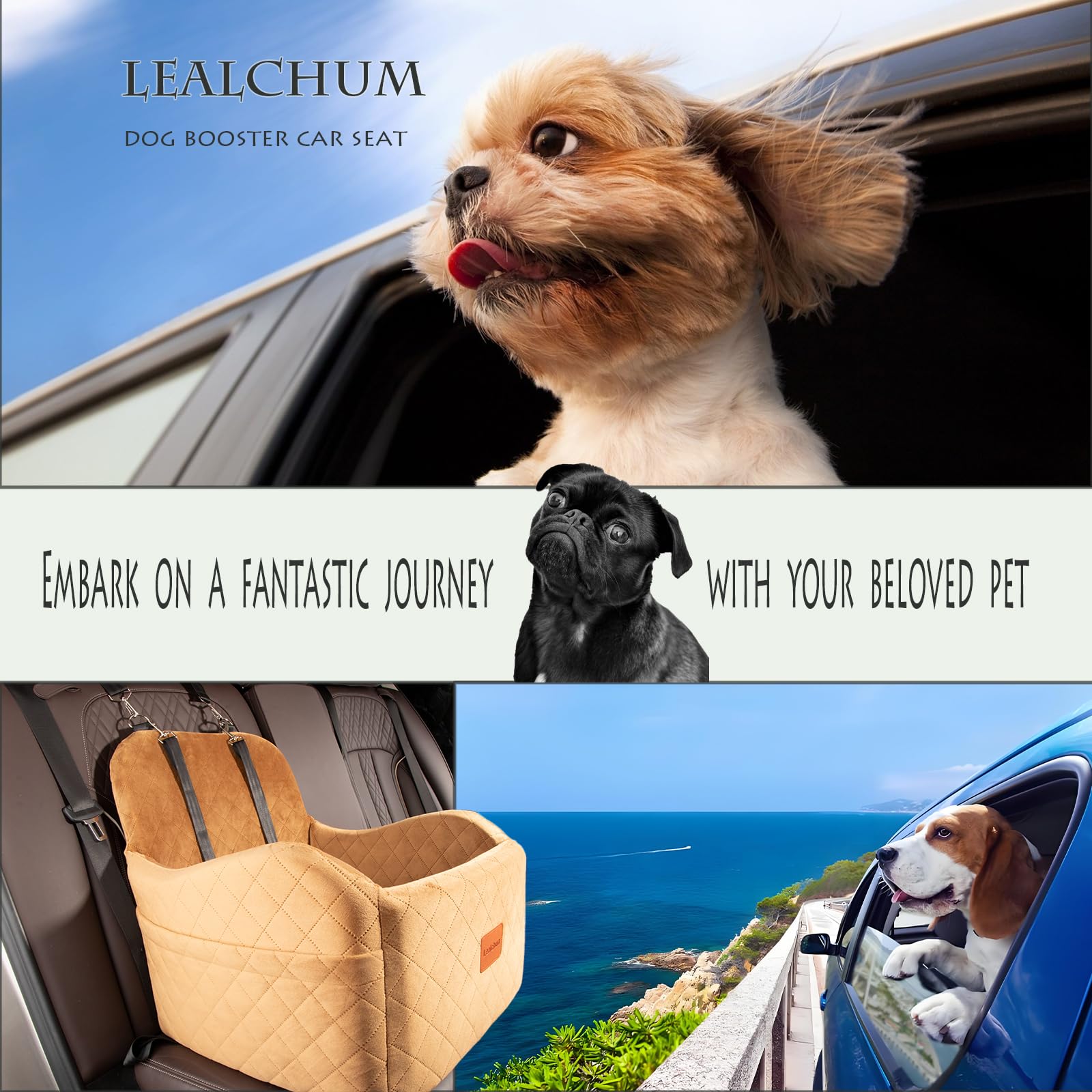 Fits small to medium dogs, elevating outward view and pet comfort.