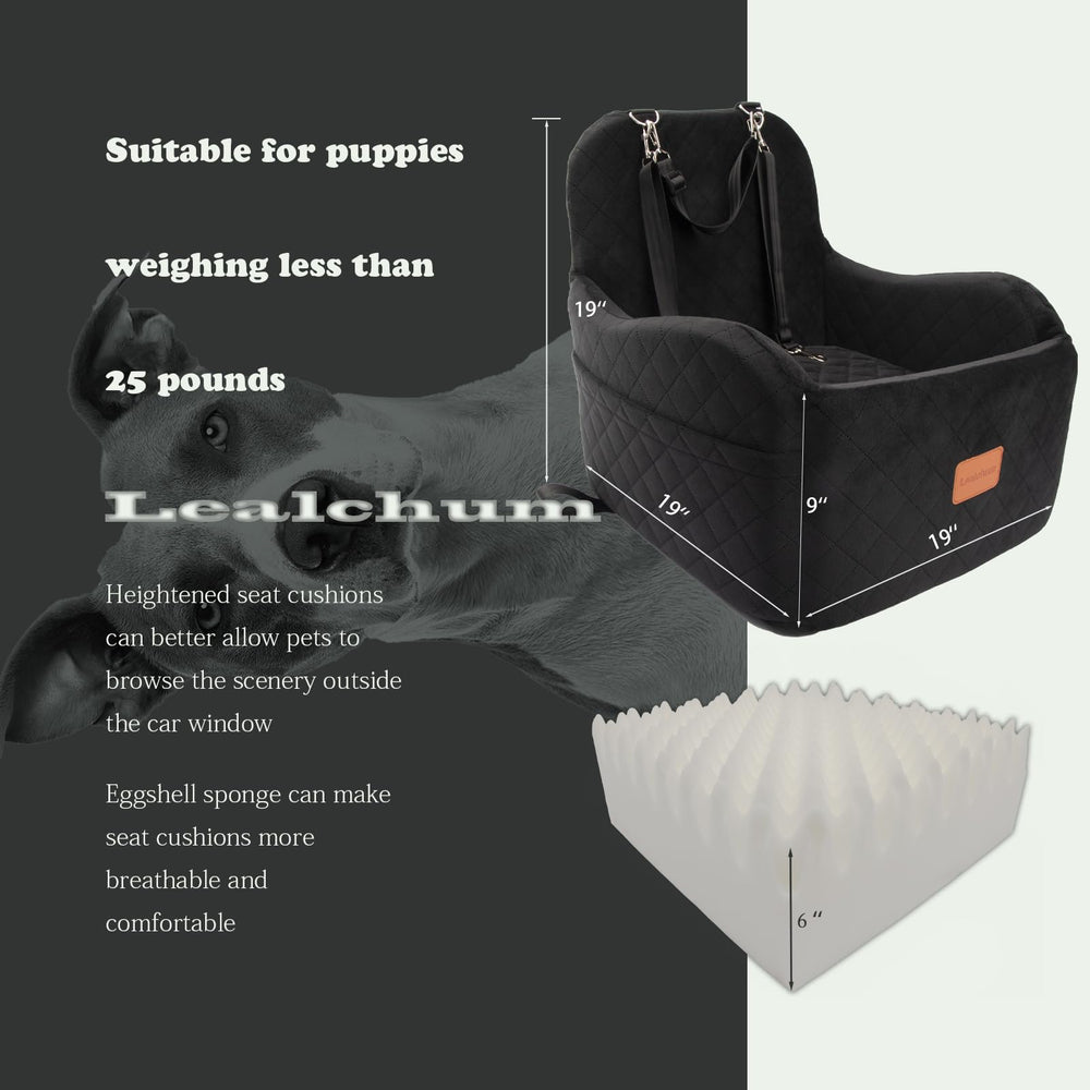 Lealchum booster seat in back seat showing elevated perch and safety strap