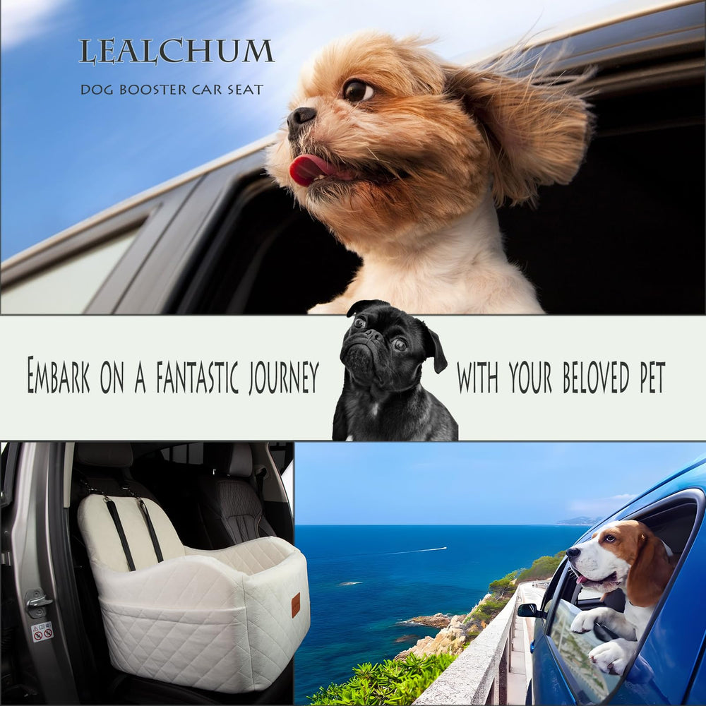 Lealchum safety straps and harness channel for secure travel