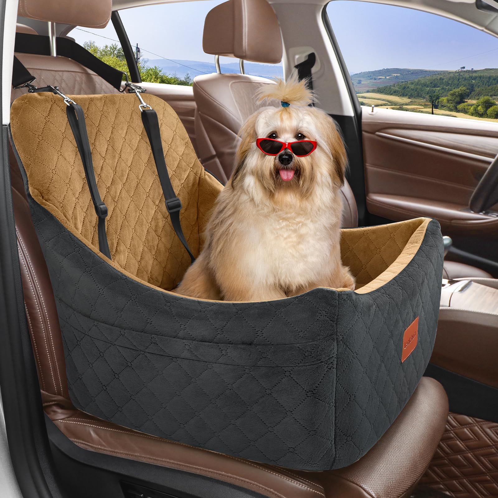 Lealchum Dog Booster Seat with two leashes illustrates enhanced restraint during trips.