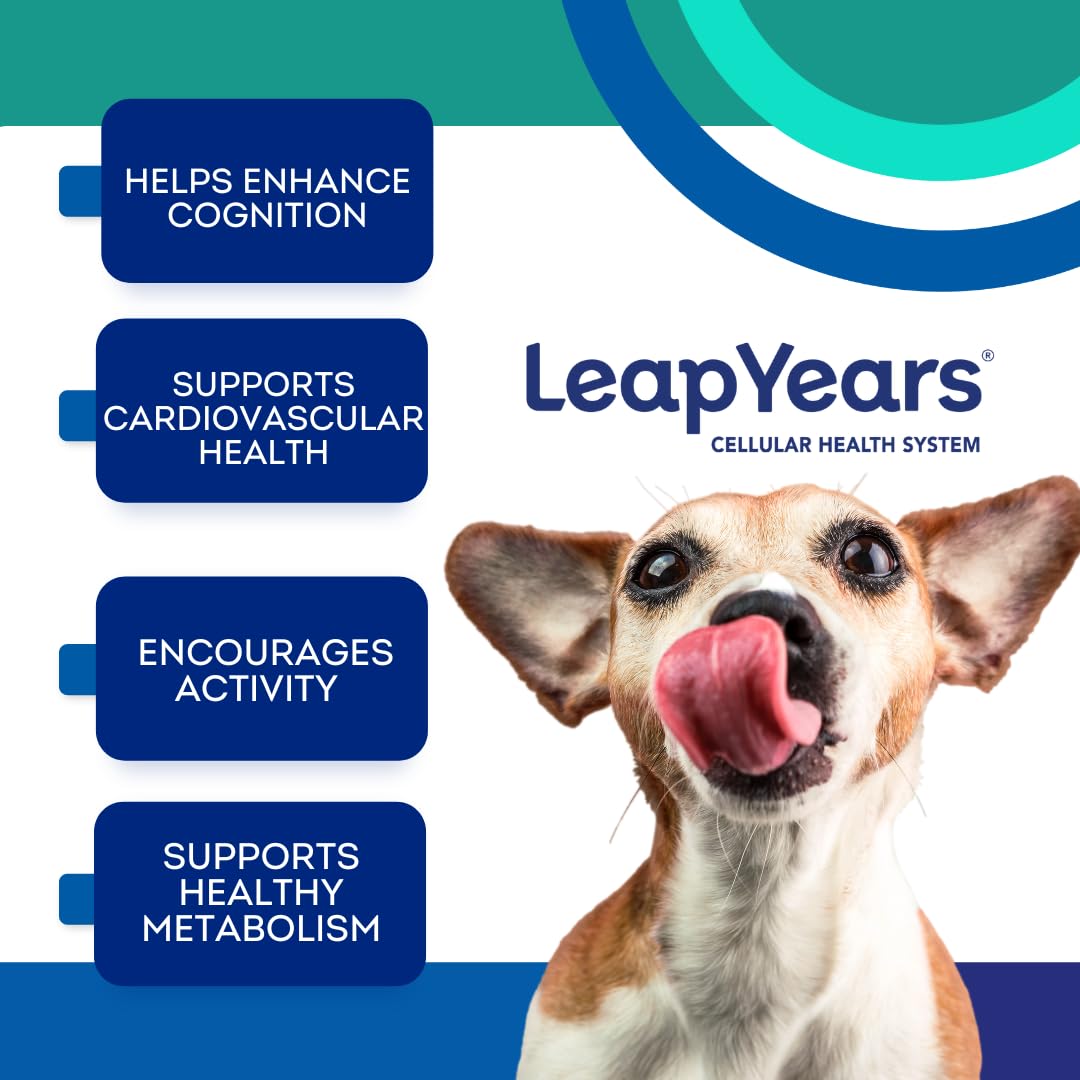 Leap Years Soft Chews dog-eating close-up shows easy daily dosing