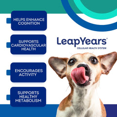 Leap Years Soft Chews dog-eating close-up shows easy daily dosing