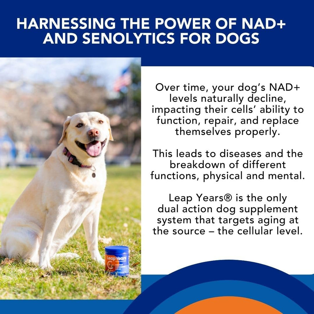 Leap Years Soft Chews made-in-USA GMP-seal close-up signals quality and safety