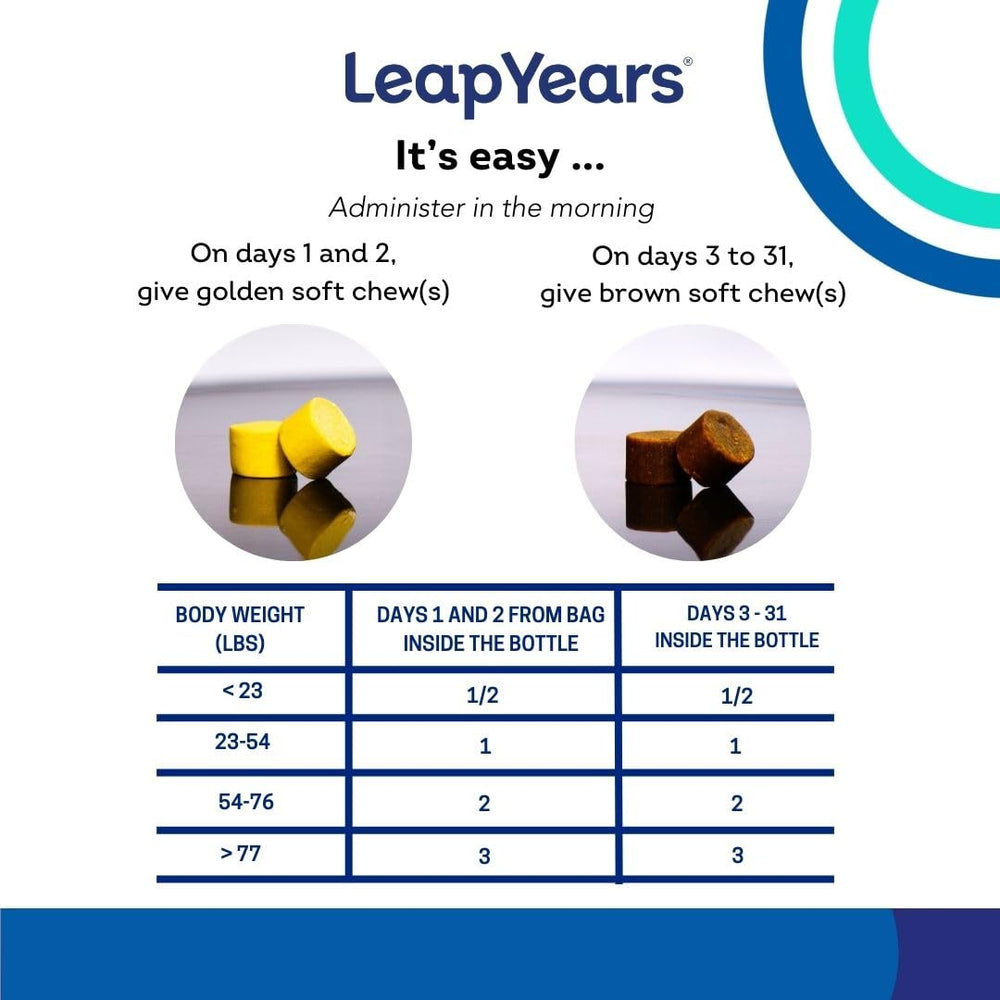 Leap Years Soft Chews older-dog lifestyle scene suggests longevity-focused routine