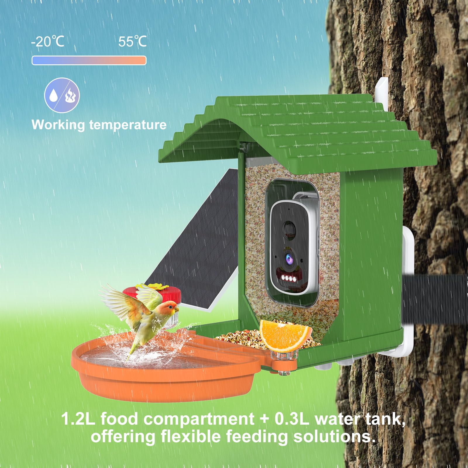 Leapbird bird arrival alert notification on your phone in real time.