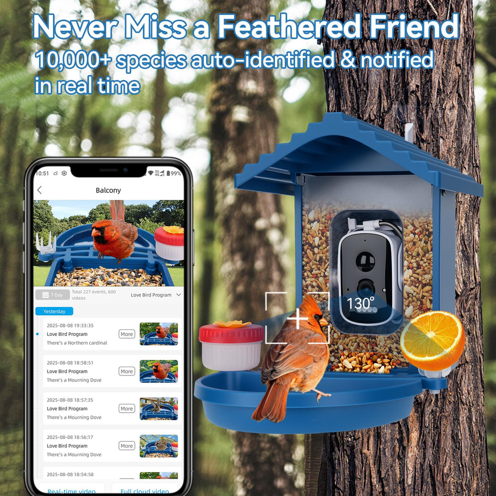 Leapbird bird feeder rain cover night view demonstrates weatherproof viewing in rain.
