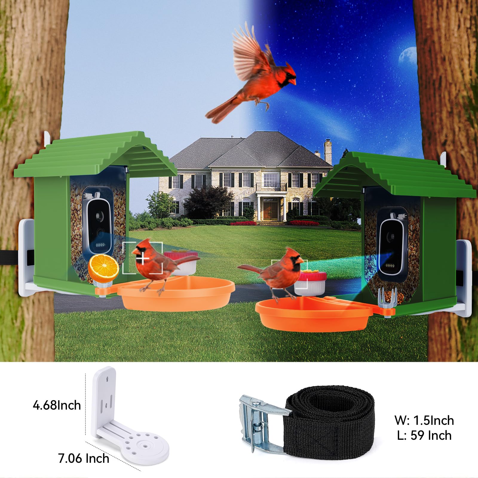 Leapbird night vision view enables nighttime bird watching.