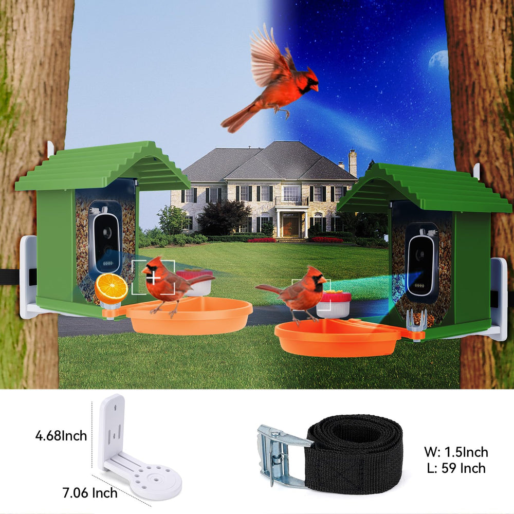 Leapbird night vision view enables nighttime bird watching.