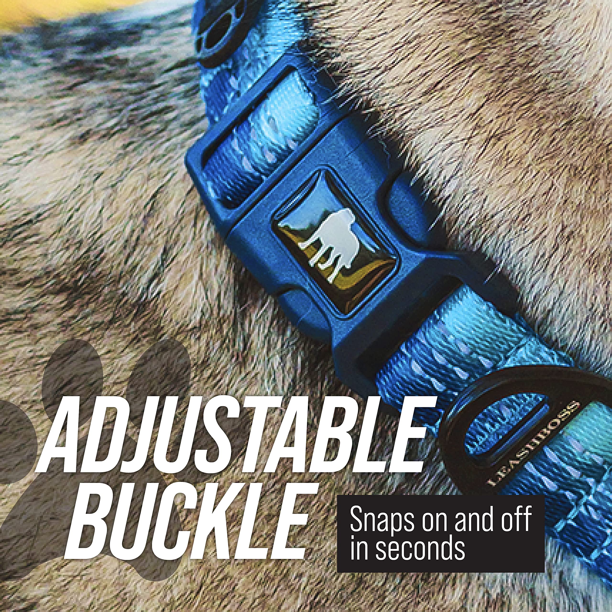 Leash Boss adjustable neck collar fits small to large dogs with comfort.