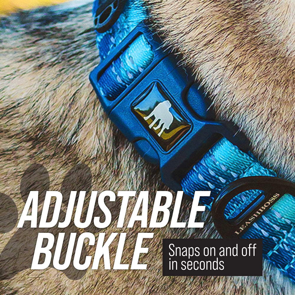 Leash Boss adjustable neck collar fits small to large dogs with comfort.
