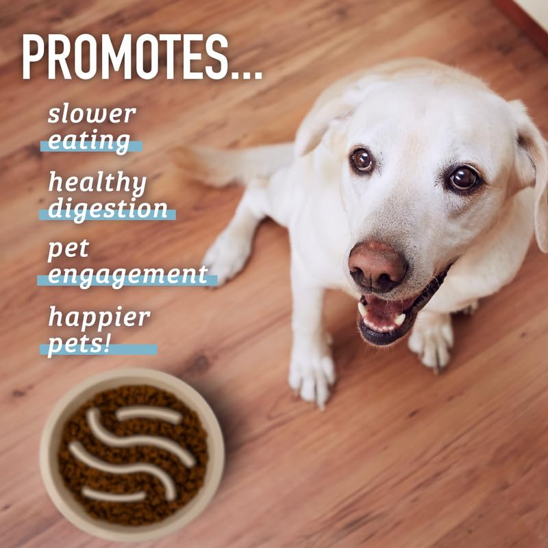 Leash Boss blue slow feeder bowl in use during a calm meal.