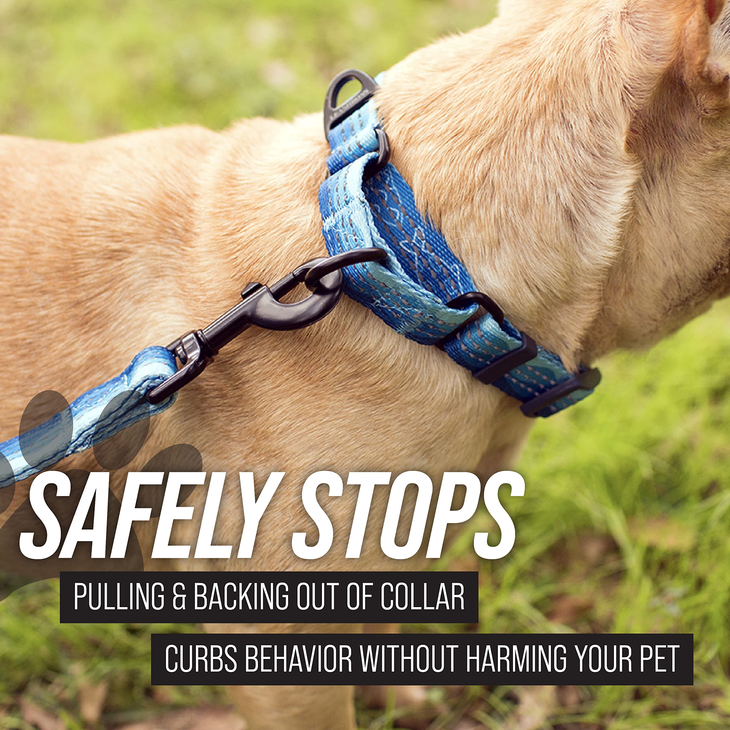 Leash Boss cinch collar training aids gentle correction without choking.