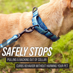 Leash Boss cinch collar training aids gentle correction without choking.