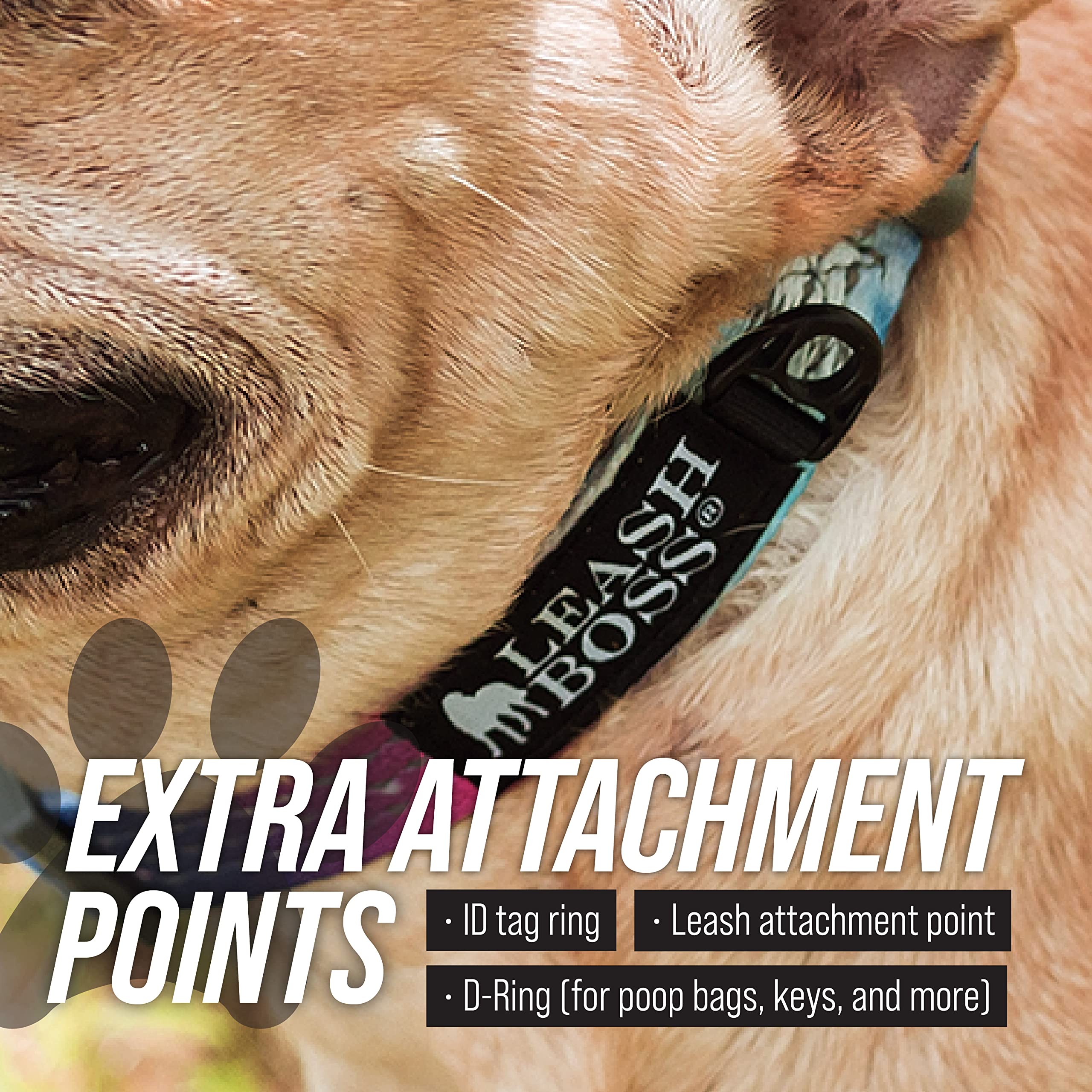 Leash Boss separate tag ring keeps ID tag organized and accessible.