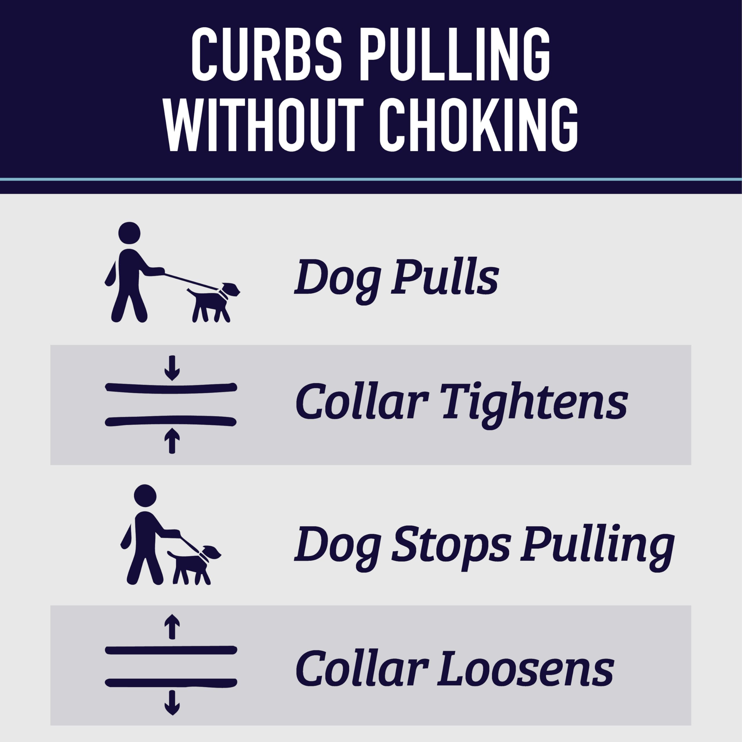 Leash Boss martingale features multiple attachment points for easy control