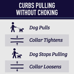 Leash Boss martingale features multiple attachment points for easy control