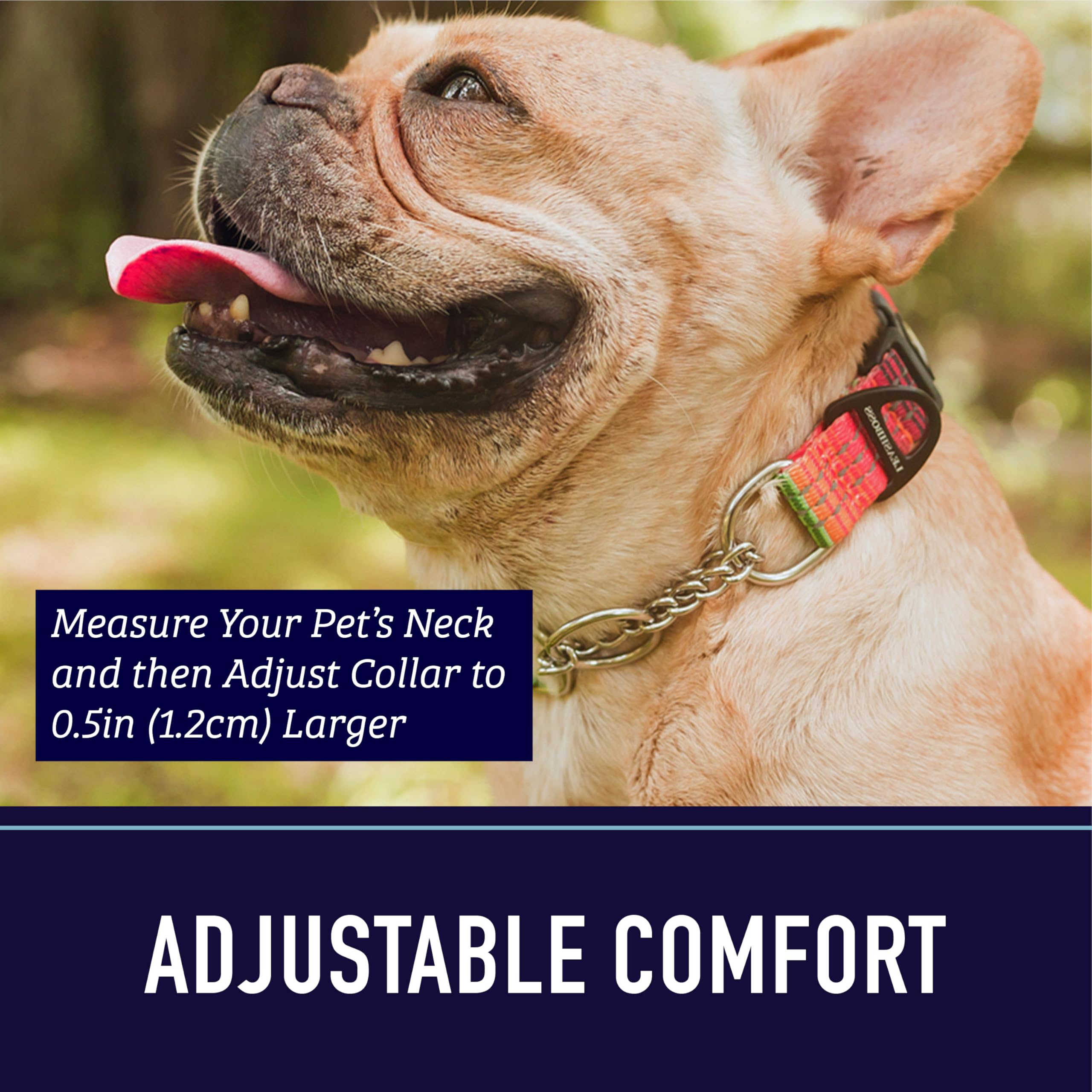 Leash Boss puppy small dog fit for secure daily walks