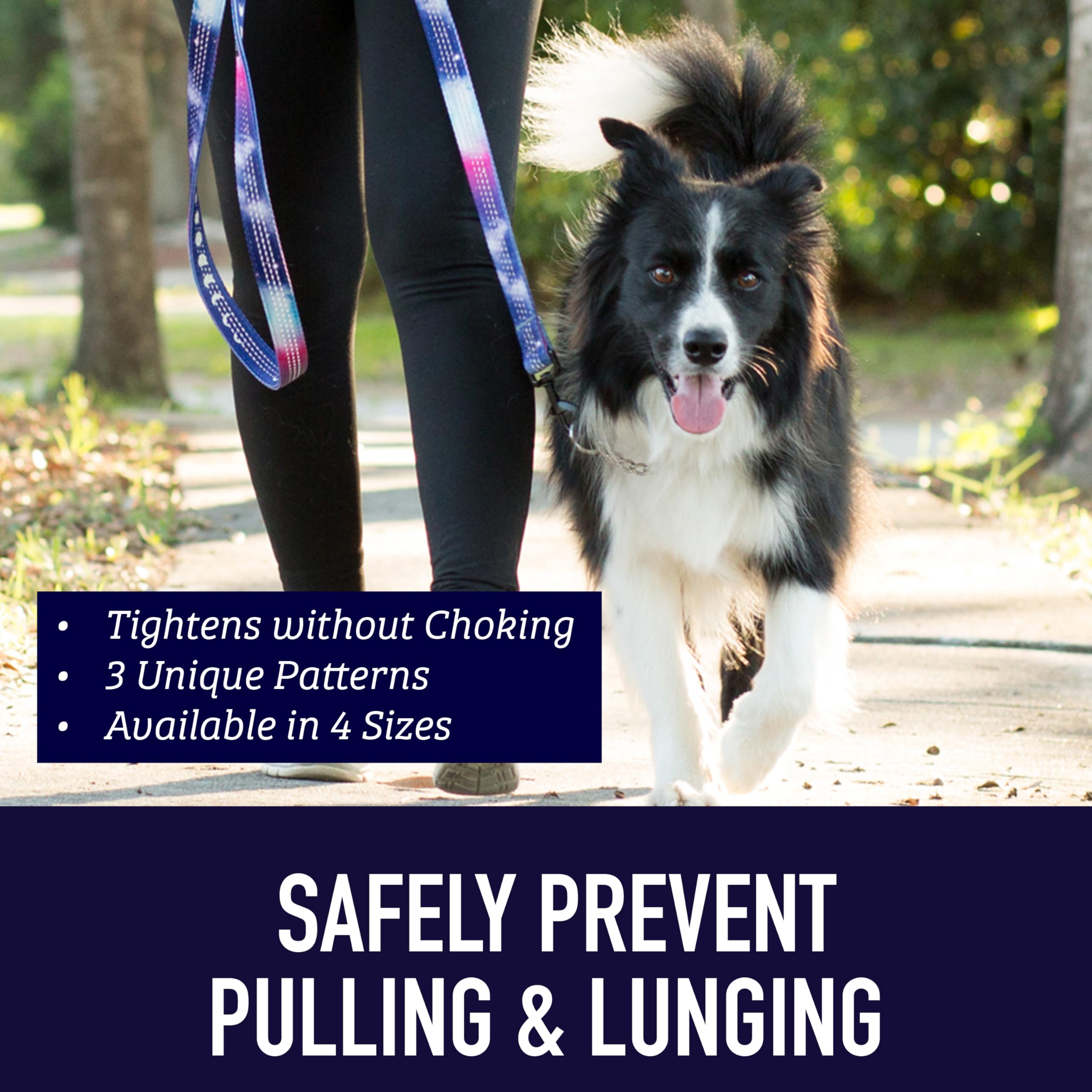 Leash Boss collar with reflective threads in dawn light boosts visibility