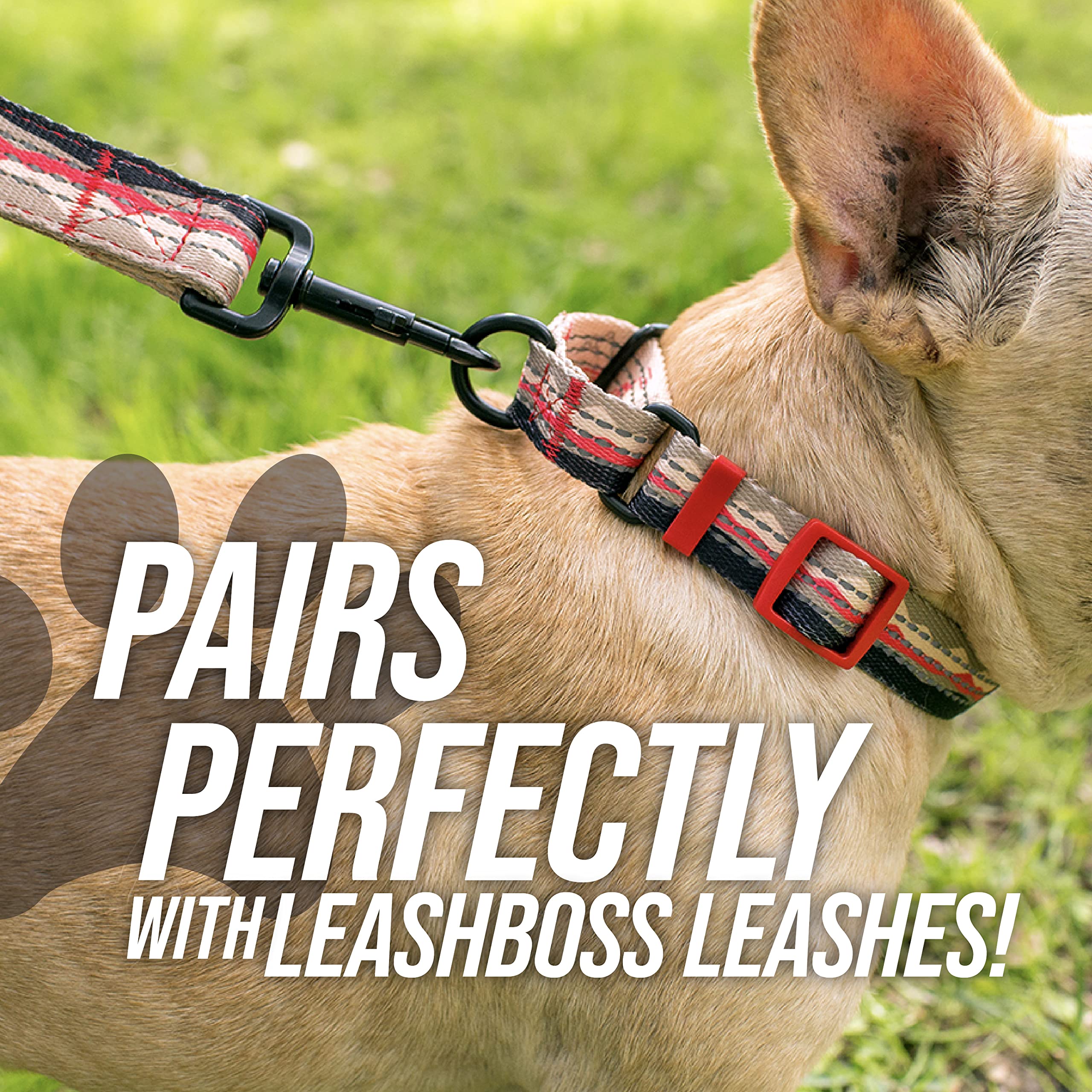 Leash Boss night walking safety with two-channel reflective stitching for visibility.