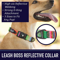 Leash Boss collar side view shows slim profile and secure buckle.