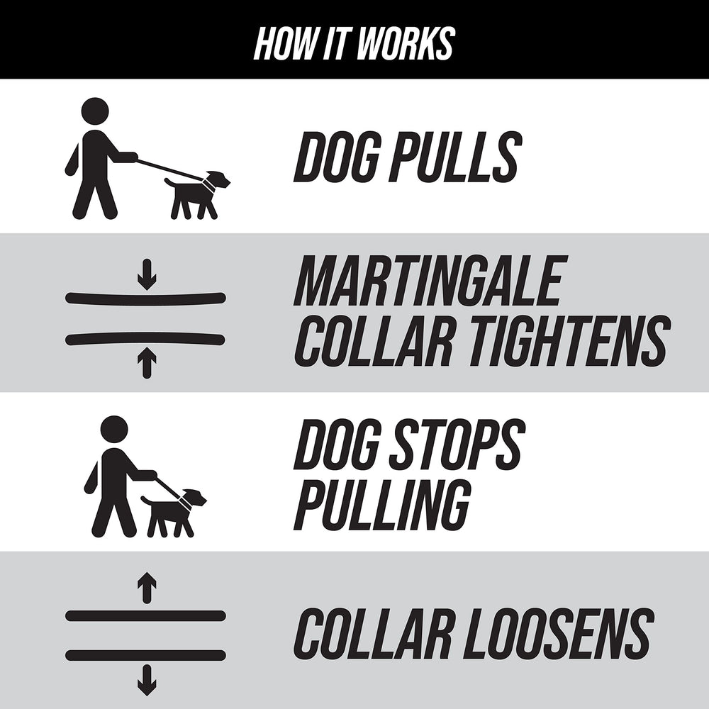 Leash Boss quick-release buckle enables easy on/off for quick walks.
