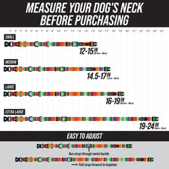 Leash Boss reflective threads collar visible at dawn or dusk for safer walks.