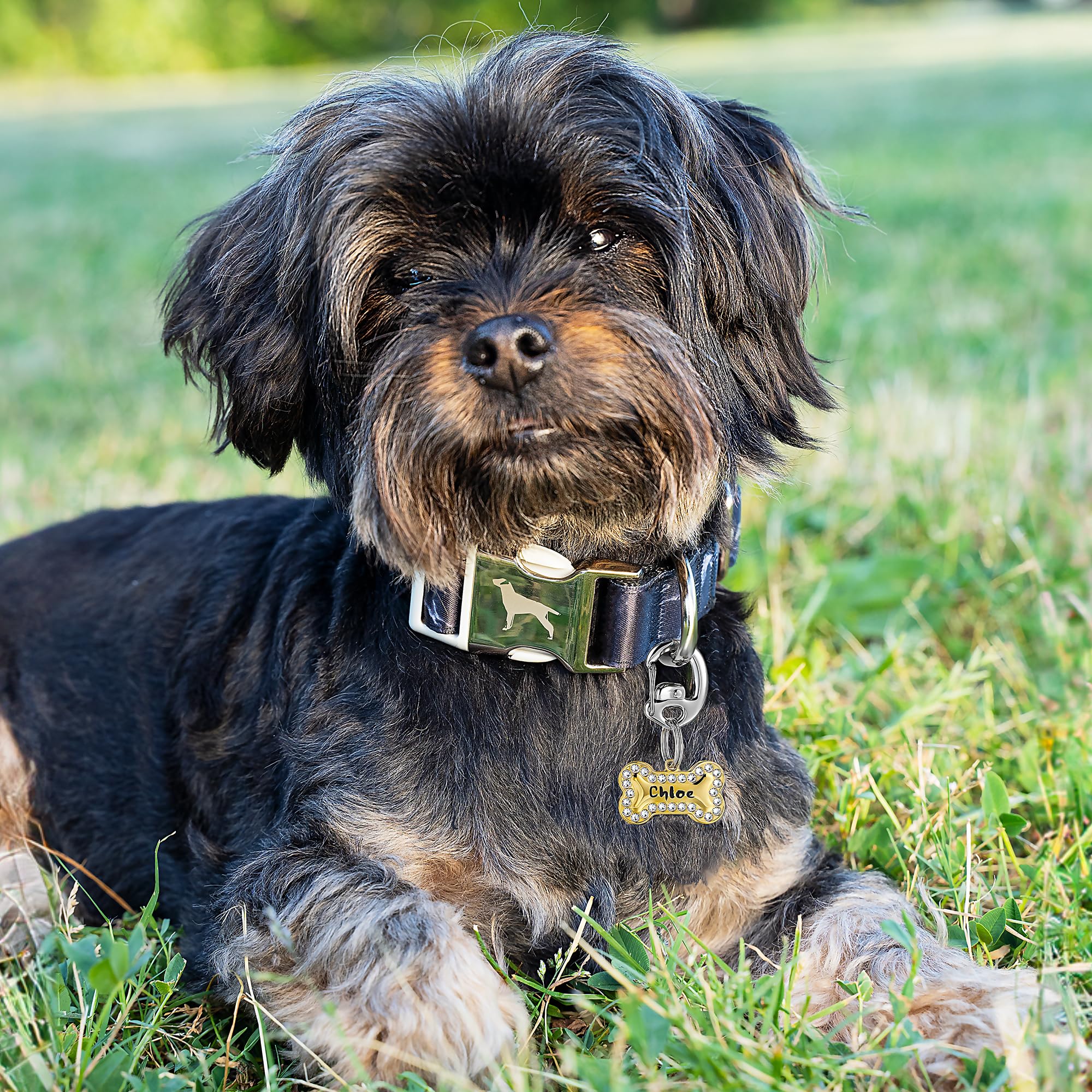 Leash King split rings securely attach licenses and name tags to any clip