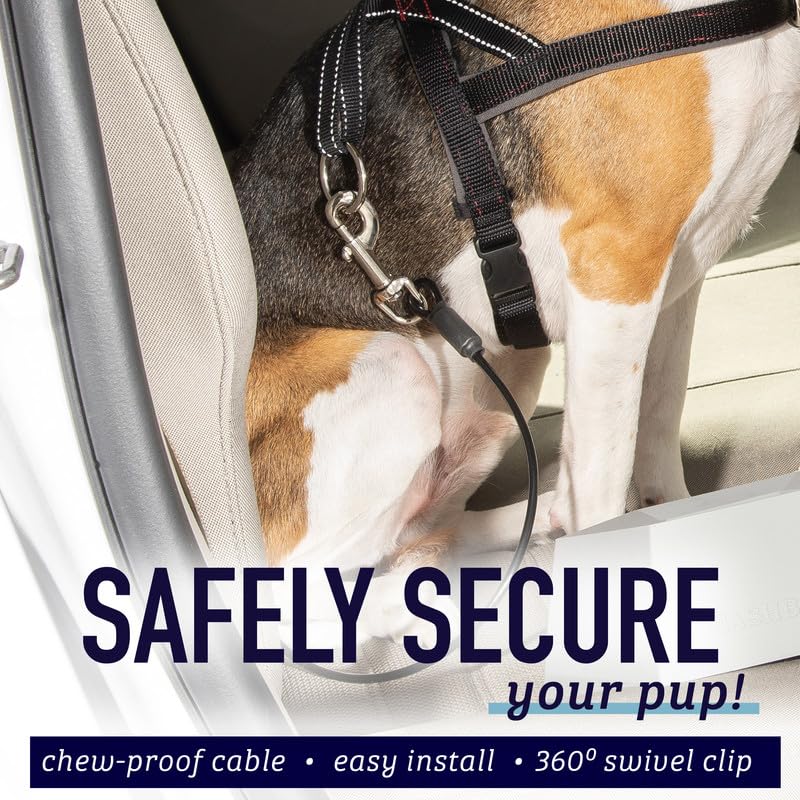 Leashboss harness-attachment secures dogs safely to the tether.