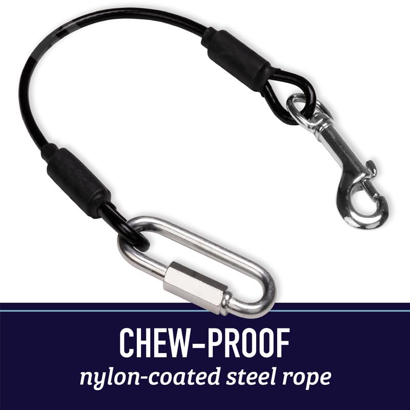 Leashboss 26-inch tether length suits mid-sized dogs for car trips.