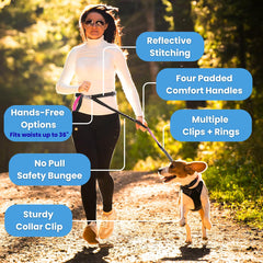 Leashrr 2.0 four padded handles emphasized for comfortable grip during urban walks