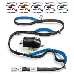 Leashrr 2.0 no-pull leash 6ft showing controlled walking with large dog