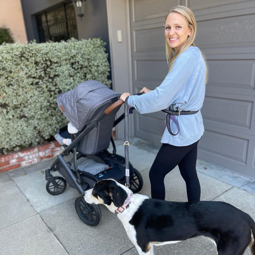 Leashrr 2.0 poop bag holder keeps bags within reach during strolls