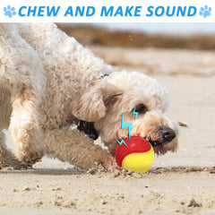 LECHONG 2-5in dog ball size ideal for fetch training.