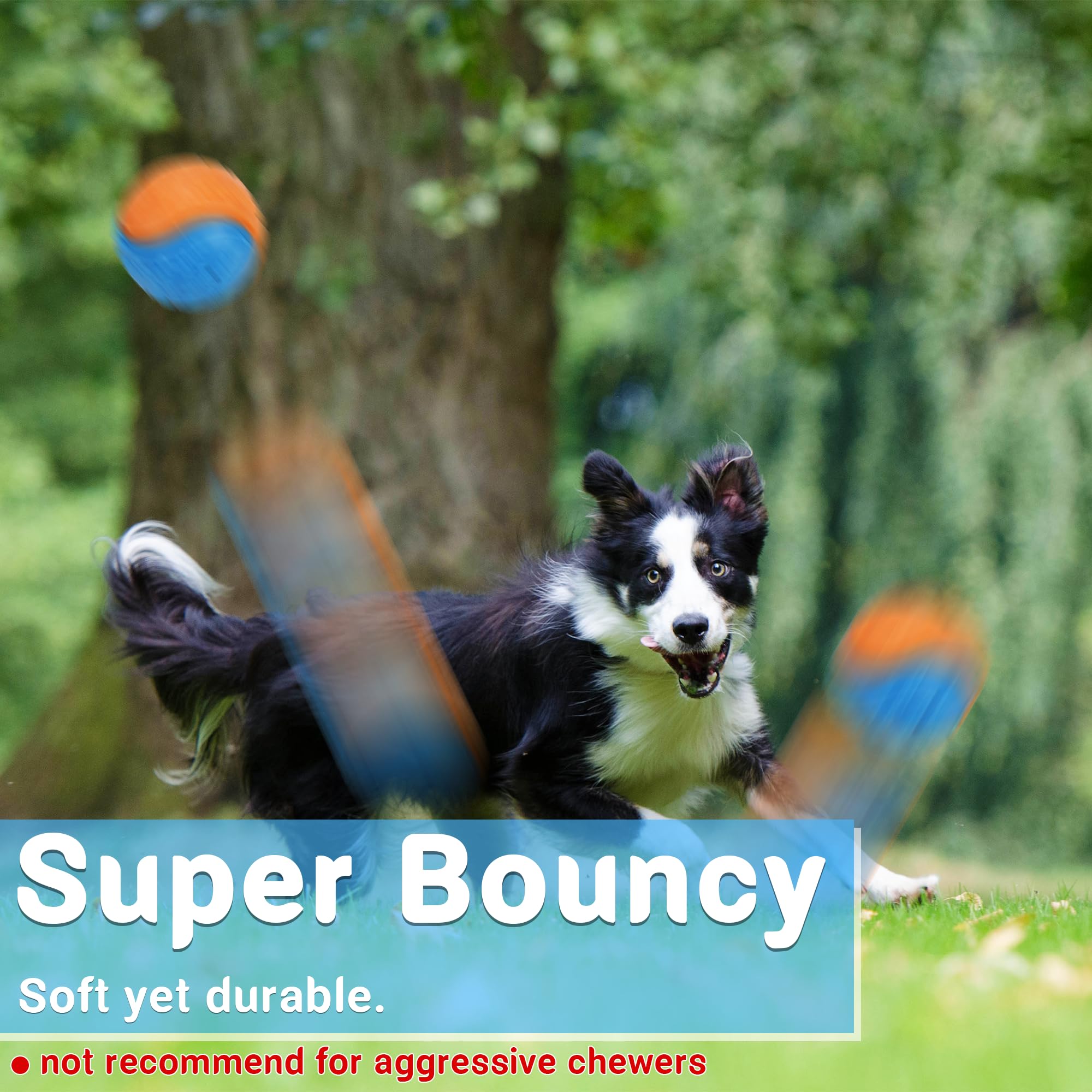LECHONG four-piece dog ball set in packaging for easy selection and setup.