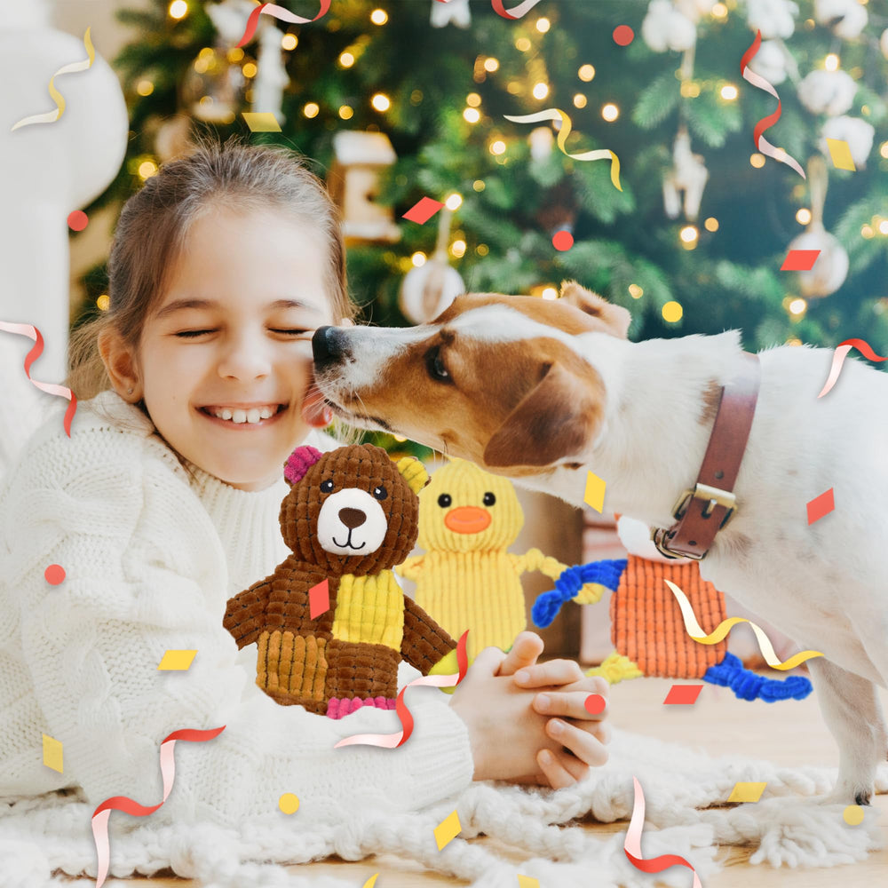 LECHONG 5pc dog toy pack with double-stitched plush durability.