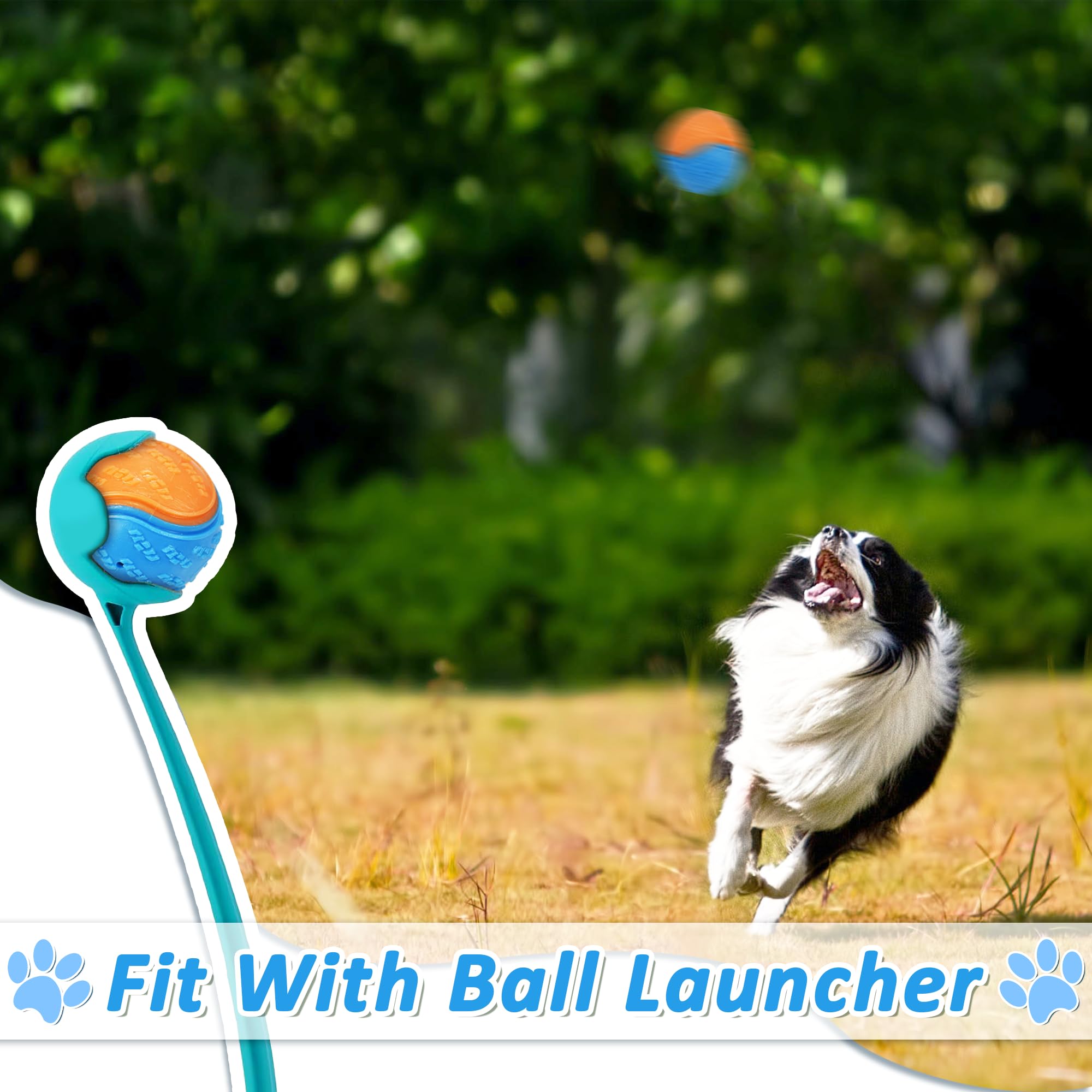 LECHONG ball-launcher compatible design for easy toss-and-fetch.