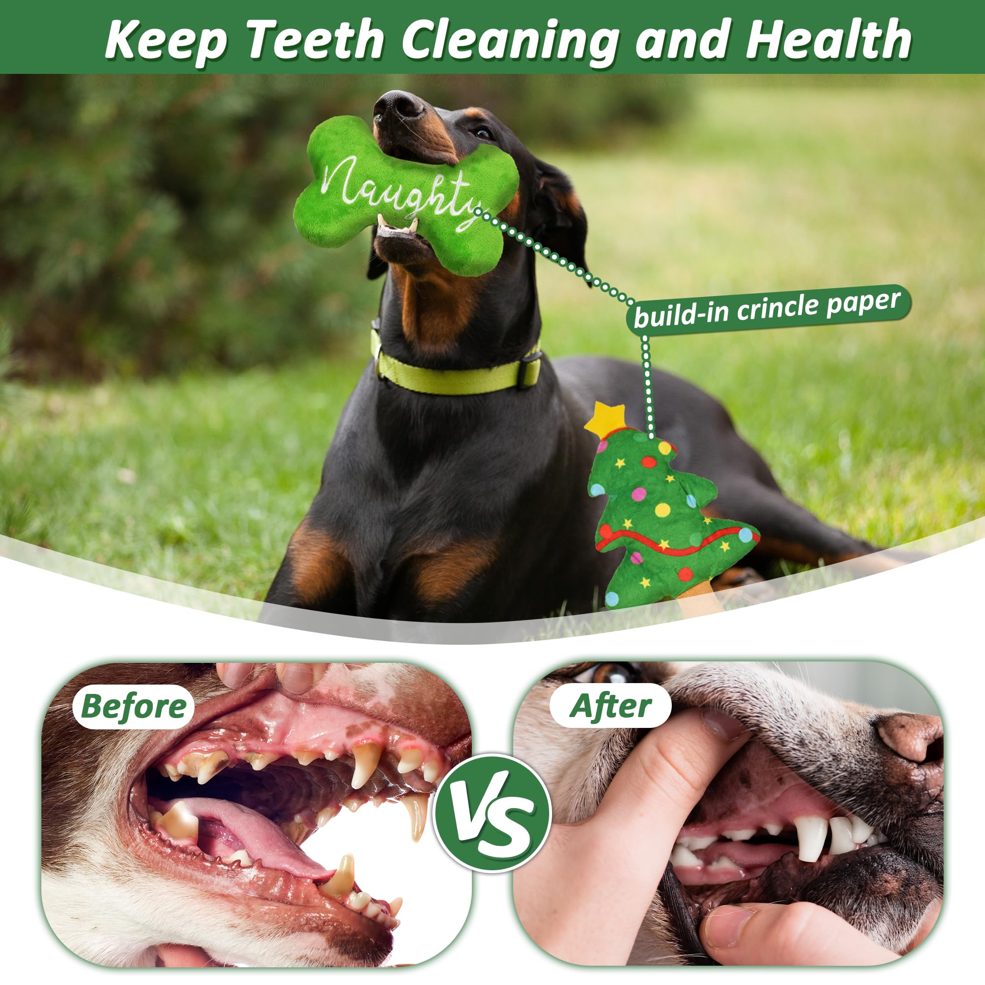 LECHONG green bone toy close-up, promotes safe chewing and teething relief