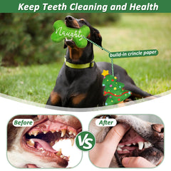 LECHONG green bone toy close-up, promotes safe chewing and teething relief