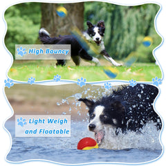LECHONG dog ball squeaker closeup highlights bright colors.